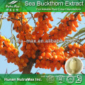 Herb Medicine Sea Buckthorn Powder Extract 4:1 5:1 10:1 20:1 Made In China